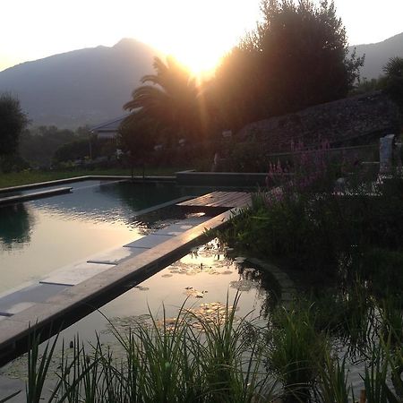 Tenuta Margherita Guest House Salò Eksteriør bilde